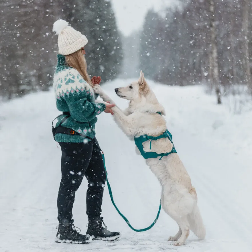 Non-stop Dogwear Peitoral Longo Azul e Verde para cães