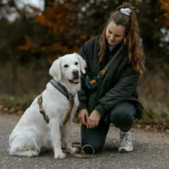 Non-stop Dogwear Peitoral Turquesa e Carvalho para cães