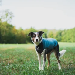 Non-stop Dogwear Trail Quest Camisola Polar Azul e Cinzento para cães