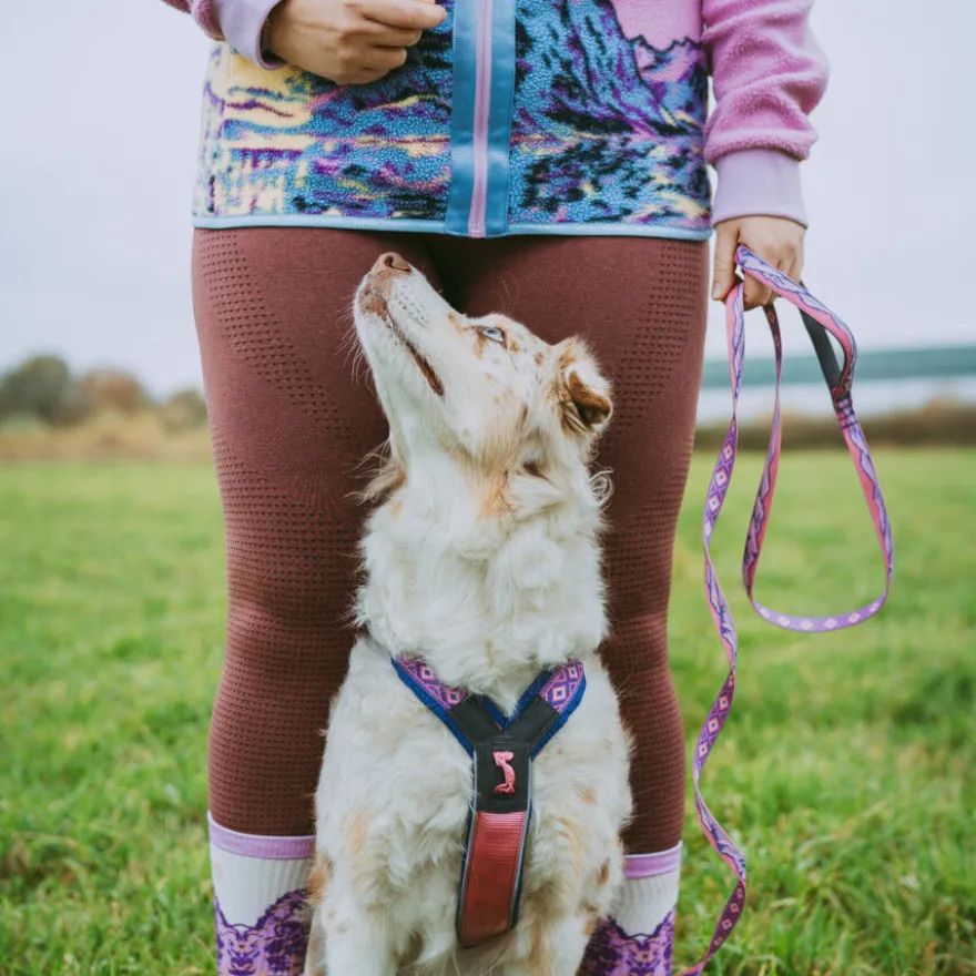 Non-stop Dogwear Trela Roxa e Rosa para cães