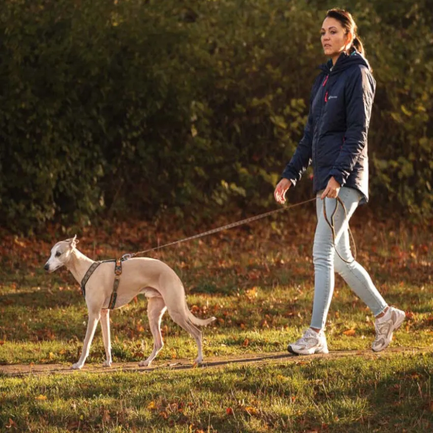 Non-stop Dogwear Trela Turquesa e Carvalho para cães