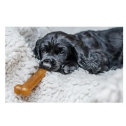 Nylabone Chew Frango Osso Mordedor para cachorros