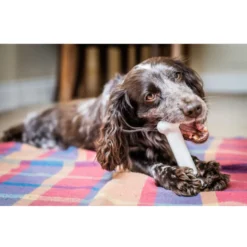 Nylabone Dura Chew Wolf osso mordedor de nylon para cães