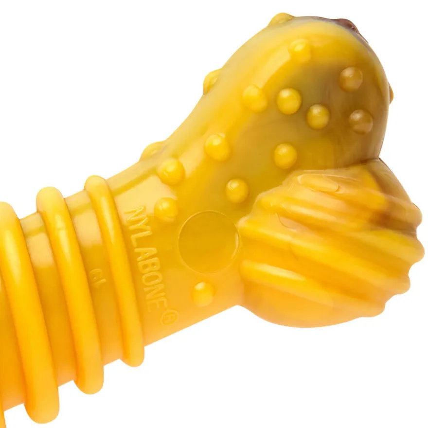Nylabone Extreme Chew Texture Osso Mordedor Resistente para cães