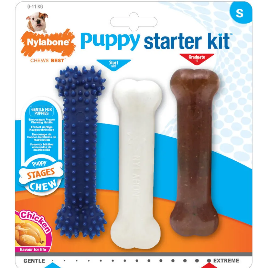Nylabone Kit de Iniciação Mordedor Triple para cachorros