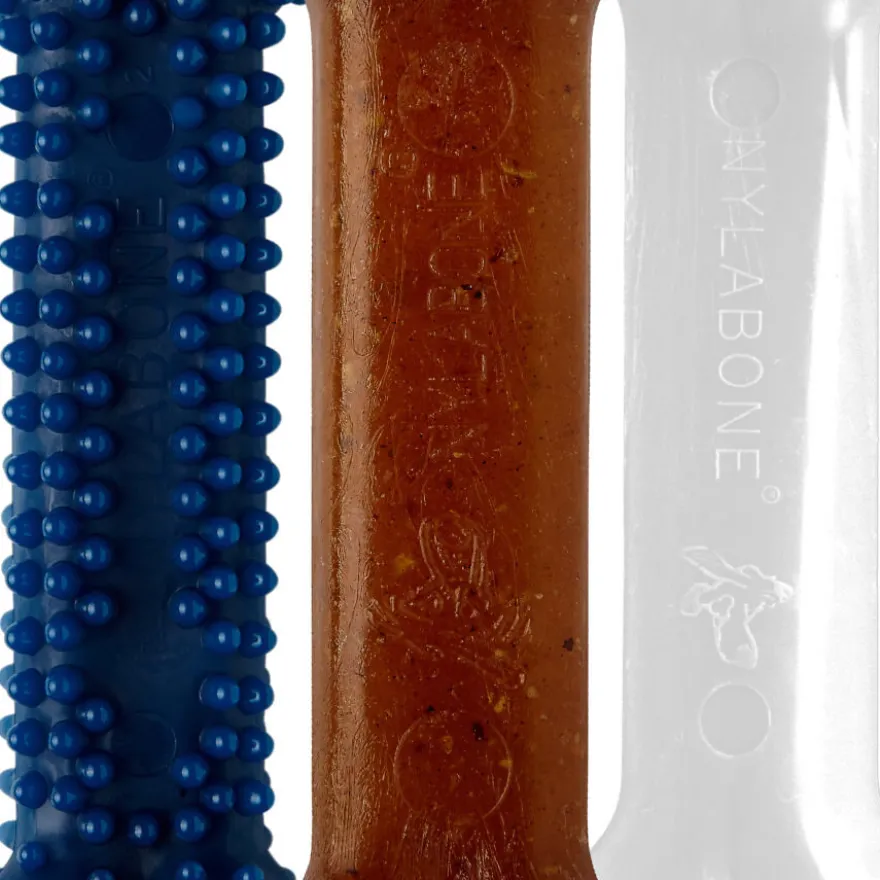 Nylabone Kit de Iniciação Mordedor Triple para cachorros