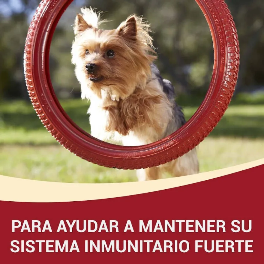 One Adult Mini Small Multipack Frango e Cordeiro com molho em saquetas para cães