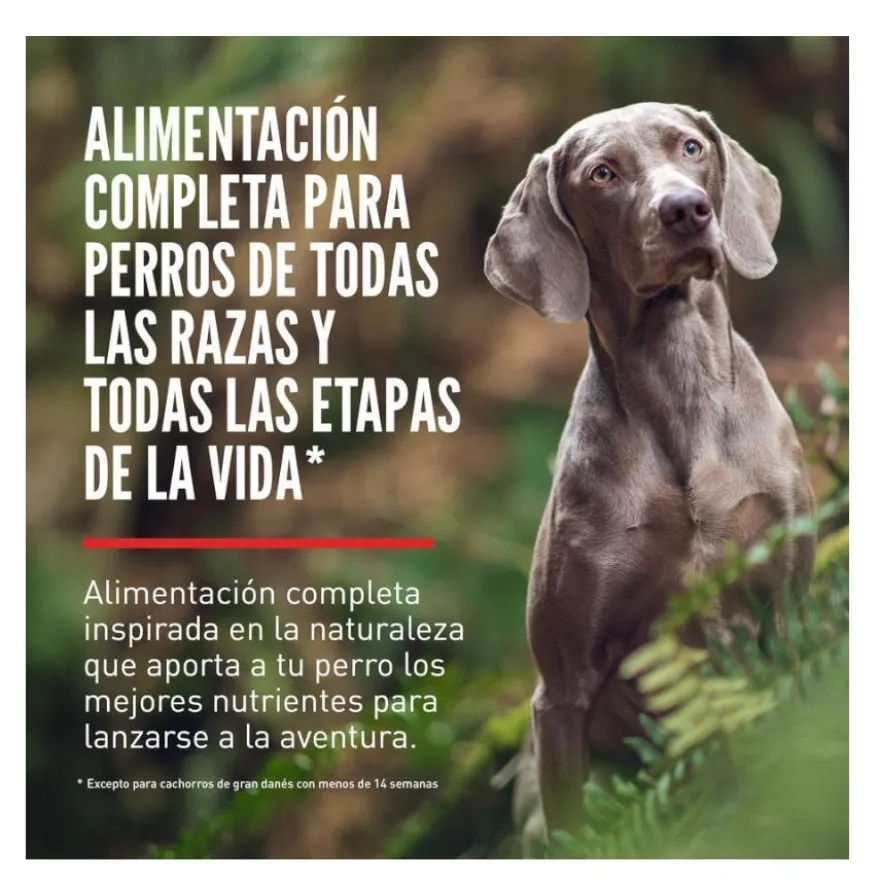 Orijen Fit&Trim ração para cães