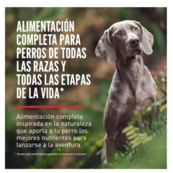 Orijen Regional Red ração para cães