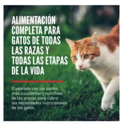 Orijen Regional Red ração para gatos e gatinhos