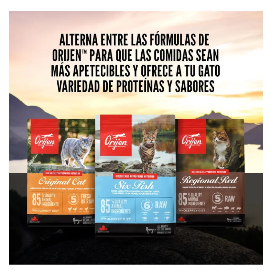 Orijen Six Fish ração para gatos e gatinhos