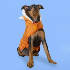 Outech Fox Casaco para cães