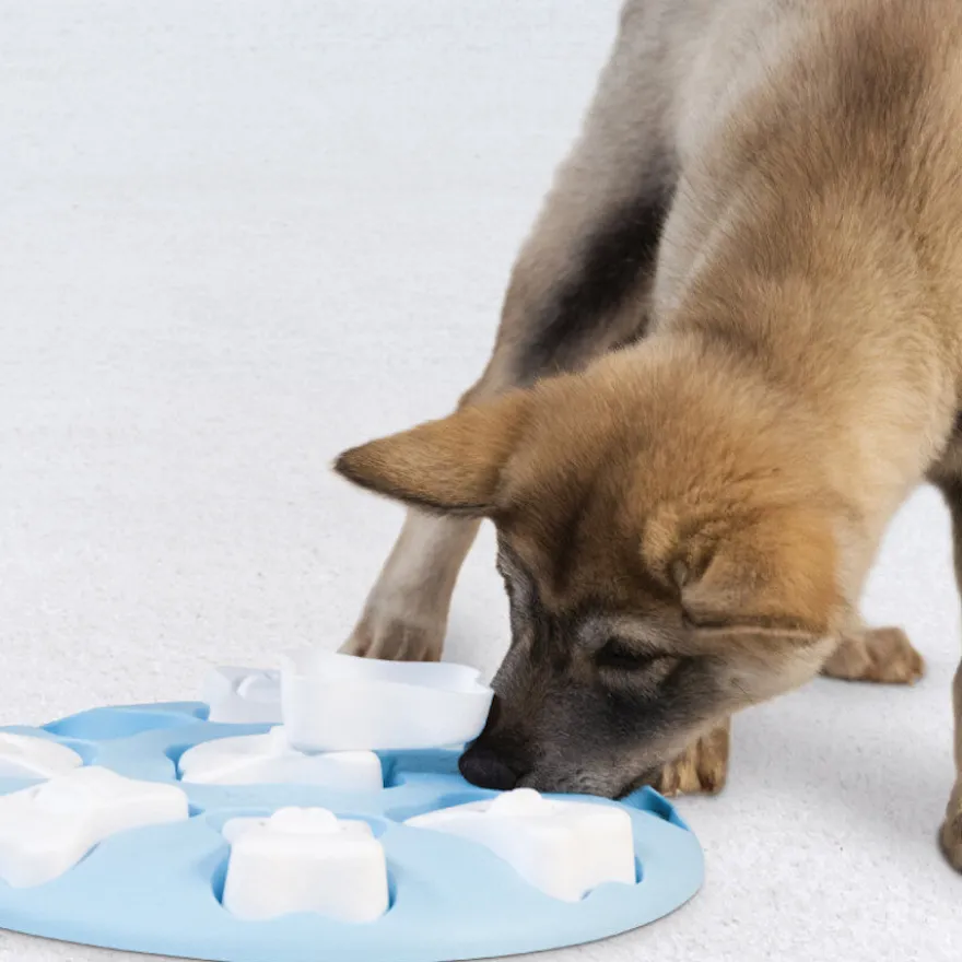 Outward Hound Puppy Smart Puzzle para cães