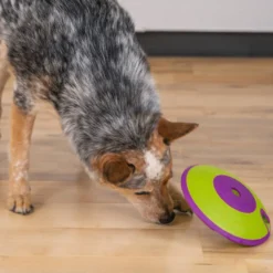 Outward Hound Treat Maze Disco interativo para cães