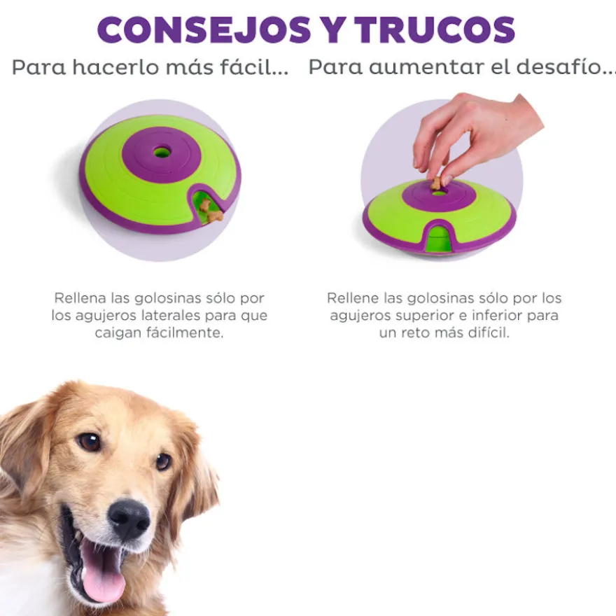 Outward Hound Treat Maze Disco interativo para cães