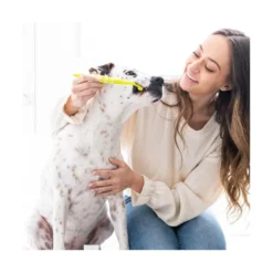 Petosan Kit dentário pequeno para cães e gatos