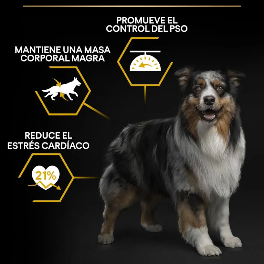 Pro Plan Adult All Sizes Light/Sterilised Peixe Branco ração para cães