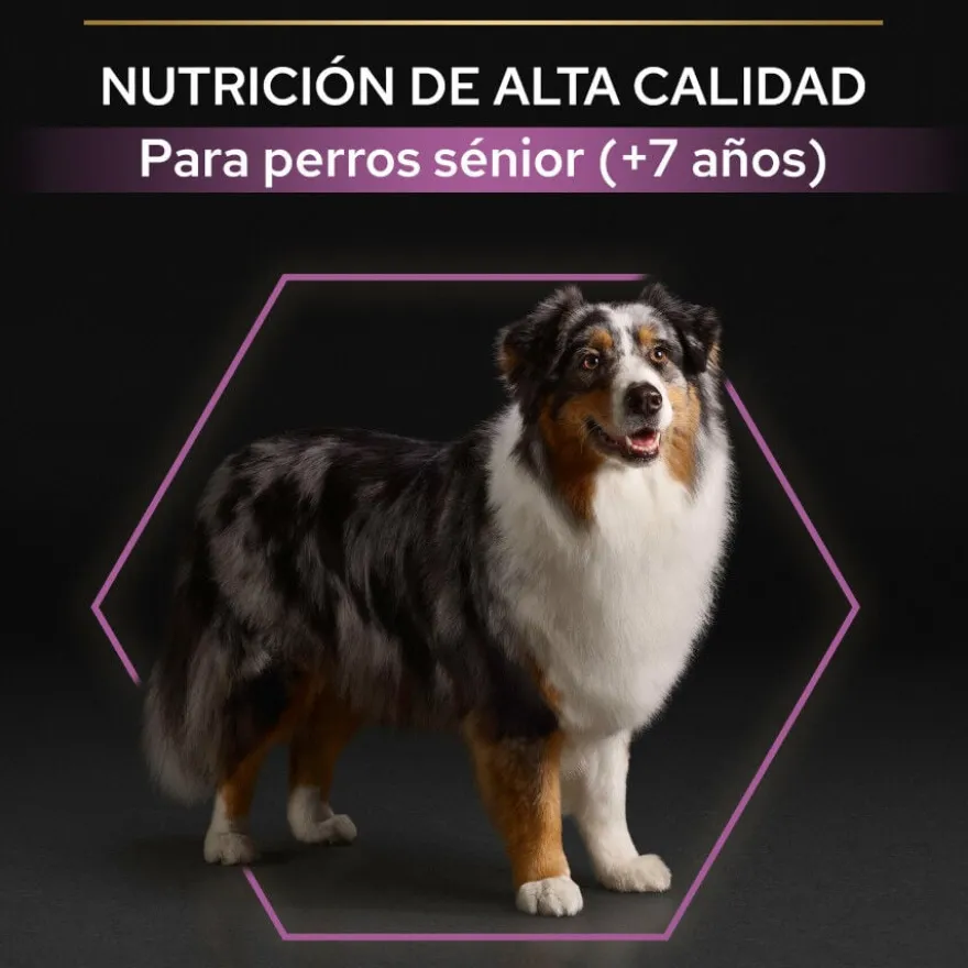 Pro Plan Adult Medium & Large Frango ração para cães seniores
