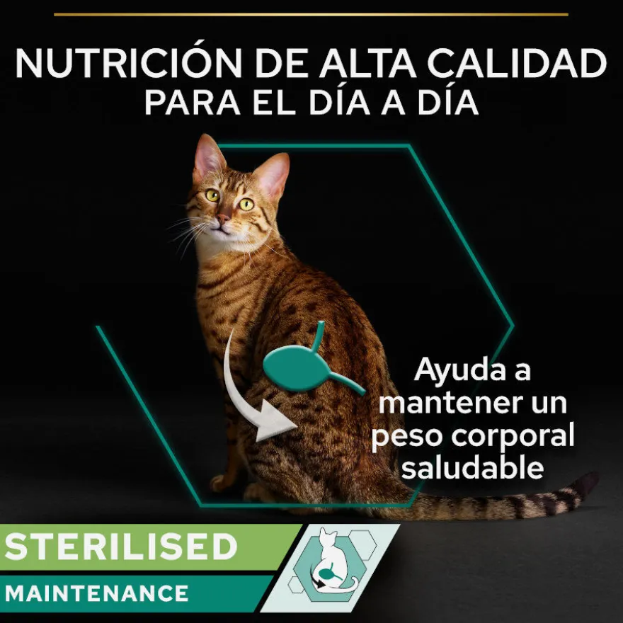Pro Plan Adult Sterilised Maintenance Alimento húmido de salmão e atum em lata para gatos Pack Poupança!