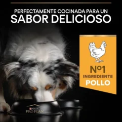 Pro Plan Medium Adult Frango ração para cães