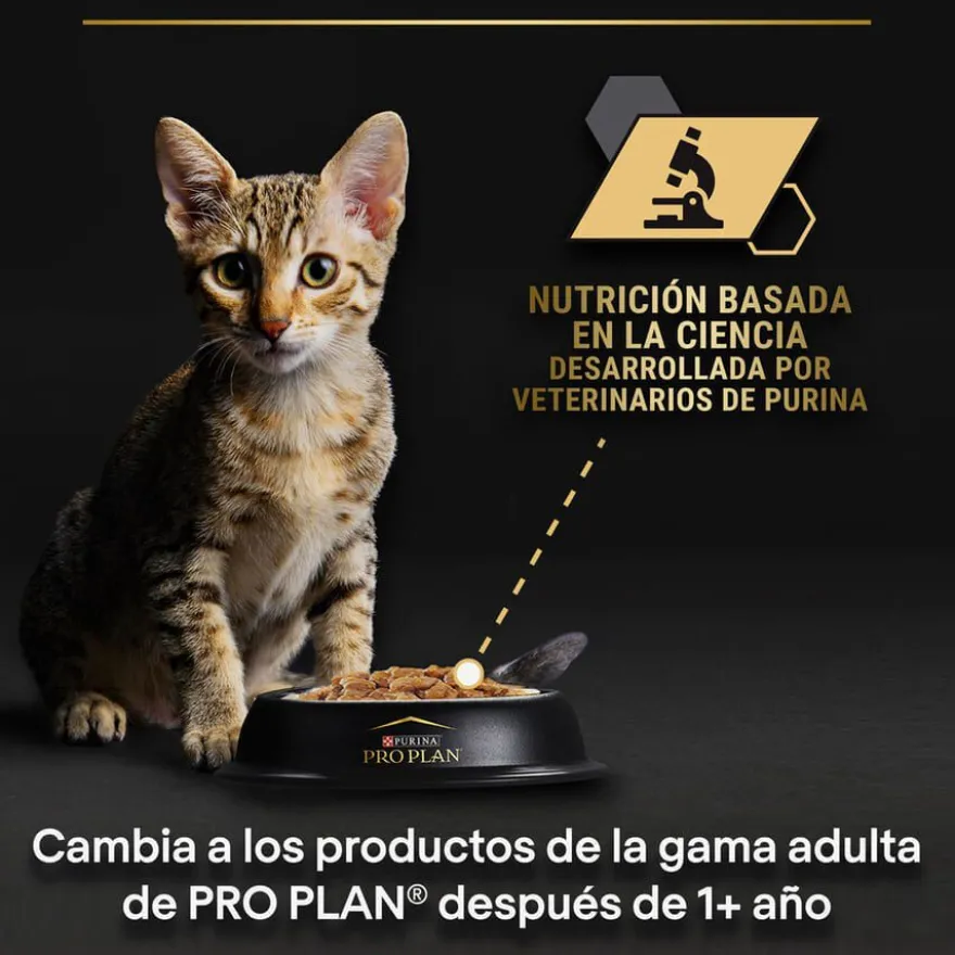 Pro Plan NutriSavour Feline Junior Peru saqueta em molho