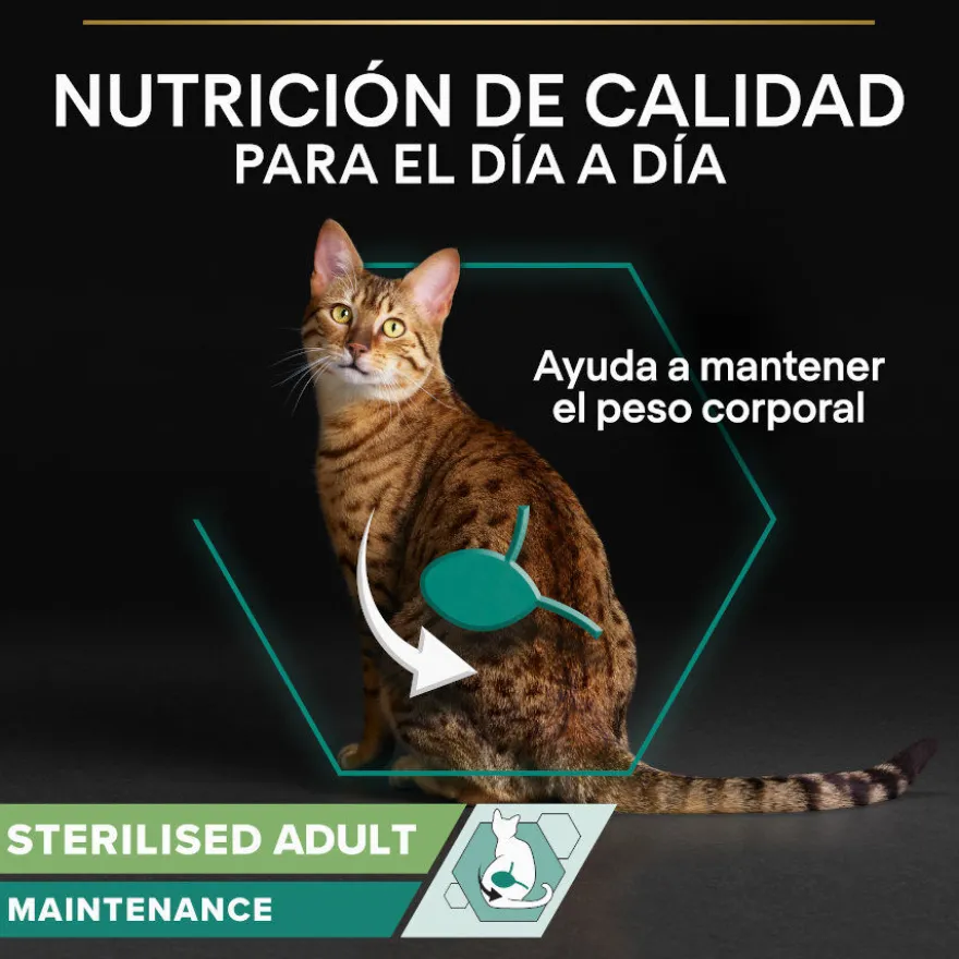 Pro Plan Sterilised Adult Multipack Bacalhau em terrina para gatos