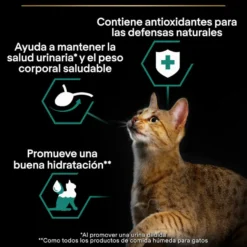Pro Plan Sterilised Adult Multipack Bacalhau em terrina para gatos