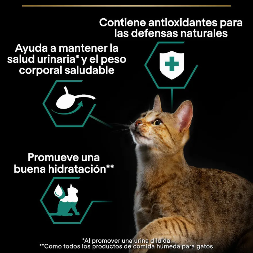 Pro Plan Sterilised Adult Multipack Bacalhau em terrina para gatos