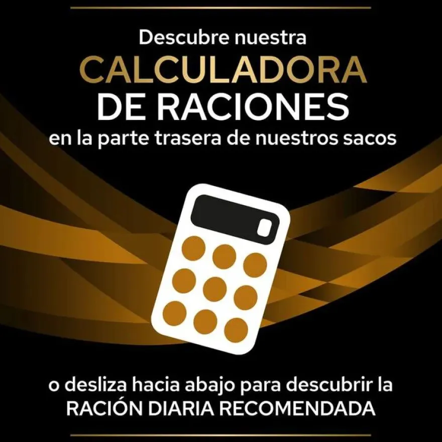 Pro Plan Veterinary Diets Renal Alimento húmido em saquetas para gatos