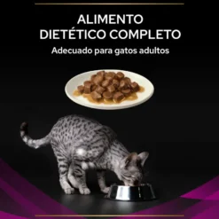 Pro Plan Veterinary Diets St/Ox Urinary Frango em Molho Saquetas para gatos – Multipack 10