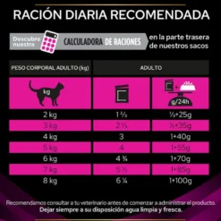 Pro Plan Veterinary Diets UR Salmão saqueta para gatos