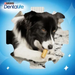 Purina Dentalife raça pequena multipack