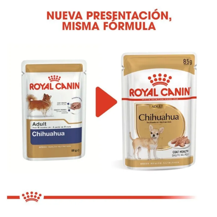 Royal Canin Adult Chihuahua patê em saquetas para cães