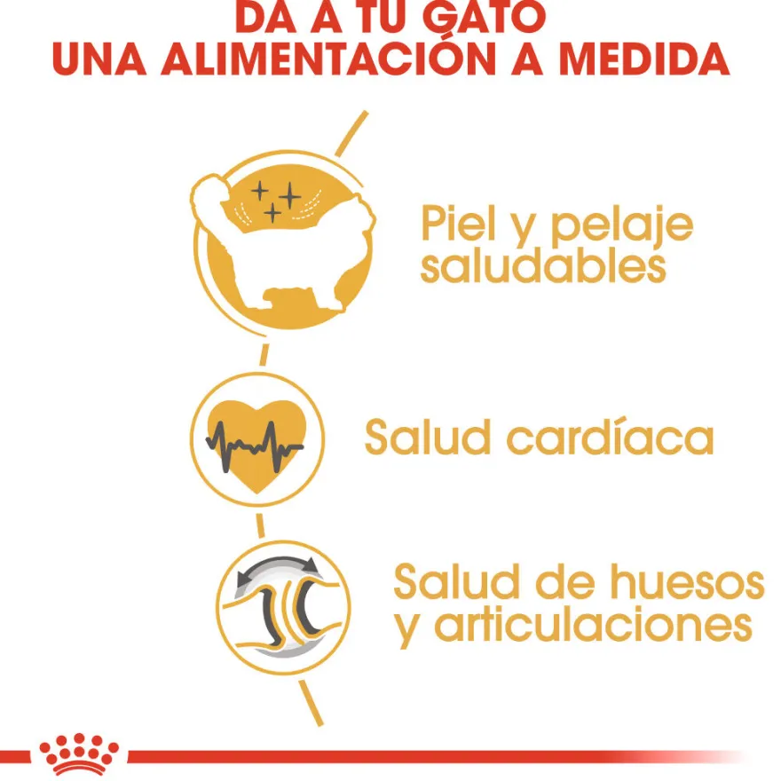 Royal Canin Adult Ragdoll ração para gatos