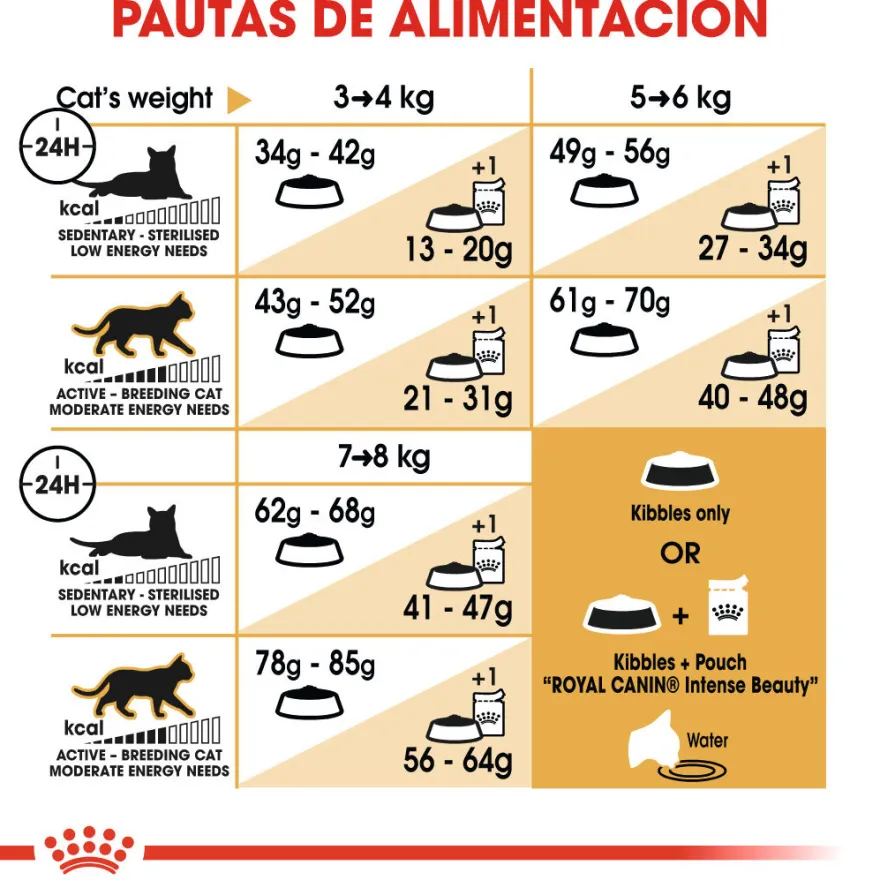 Royal Canin Adult Ragdoll ração para gatos