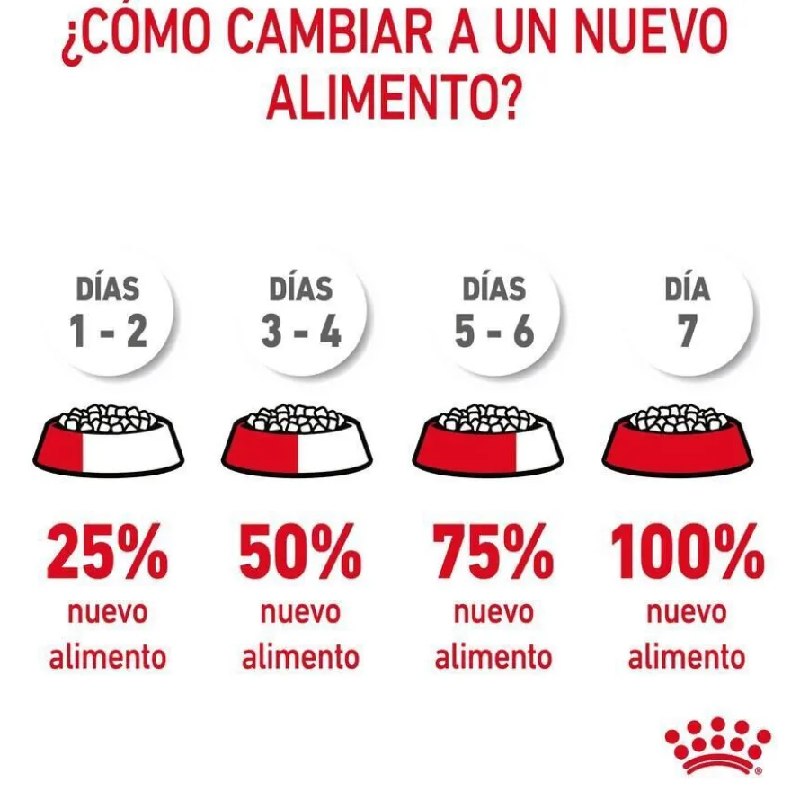 Royal Canin Appetite Control Care ração para gatos