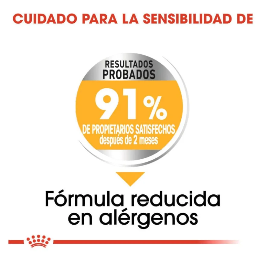 Royal Canin Dermacomfort Mini ração para cães
