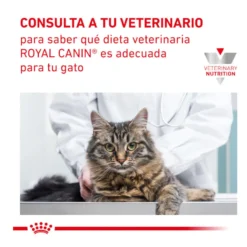 Royal Canin Gastrointestinal Hairball ração para gatos
