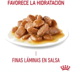 Royal Canin Hairball alimento húmido em molho saquetas para gatos