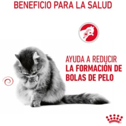 Royal Canin Hairball Care Saquetas em Gelatina para gatos