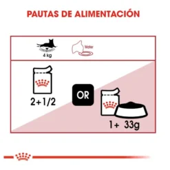Royal Canin Instinctive Saquetas de Gelatina para gatos