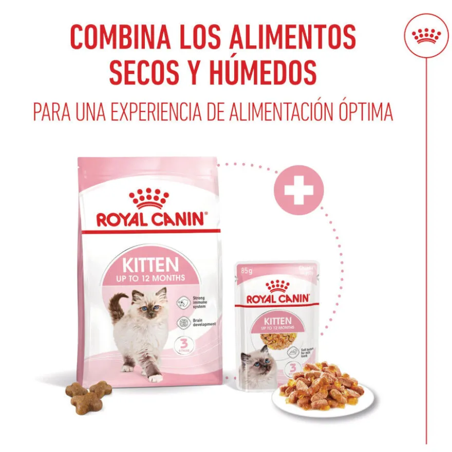 Royal Canin Kitten alimento húmido em gelatina saquetas para gatos