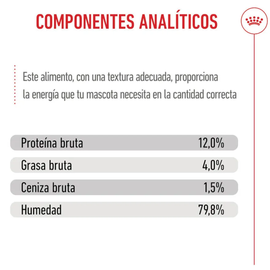 Royal Canin Kitten alimento húmido em gelatina saquetas para gatos