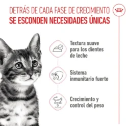 Royal Canin Kitten Sterilised Saquetas de Gelatina para gatinhos