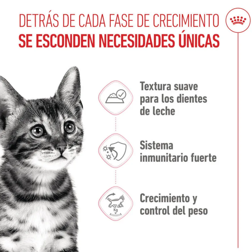 Royal Canin Kitten Sterilised Saquetas de Gelatina para gatinhos