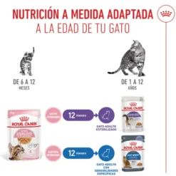 Royal Canin Kitten Sterilised Saquetas de Gelatina para gatinhos