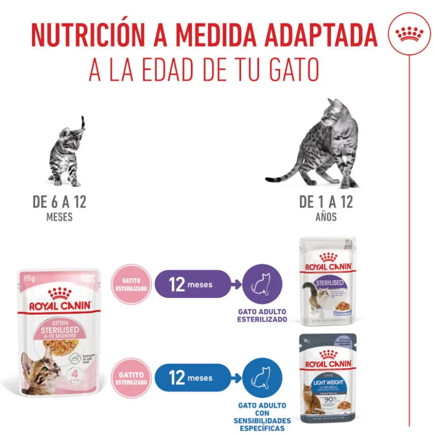 Royal Canin Kitten Sterilised Saquetas de Gelatina para gatinhos