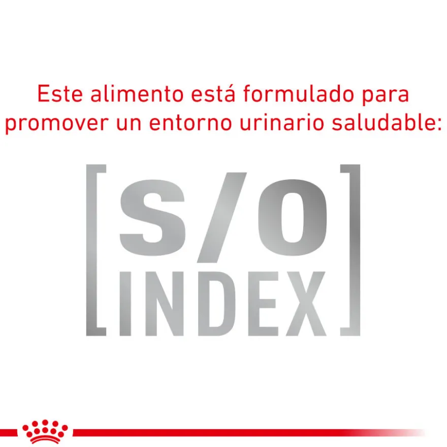 Royal Canin Mature Consult Balance Paté saqueta para gatos