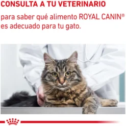 Royal Canin Mature Consult Balance Paté saqueta para gatos