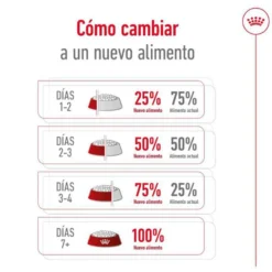 Royal Canin Maxi Adult 5+ Ração para cães seniores de raça grande